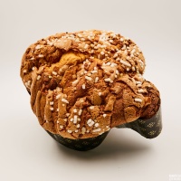 colomba_1