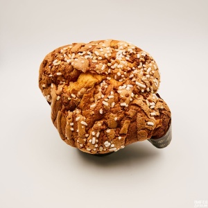 colomba_4