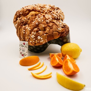 colomba_agrumi_2